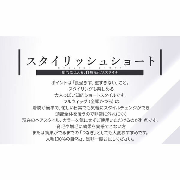 TefuRe 男性用ウィッグ スタイリッシュショート [DS-PTMEN-003] (全国一律送料無料) ウィッグ フルウィッグ ウイッグ かつら 白髪隠し ボリュームアップ 薄毛対策 つけ毛 男性用 人毛 全頭かつら フリーサイズ 伸縮性 清潔感 簡単 脱毛 薄毛 抜け毛 自然 増毛 育毛