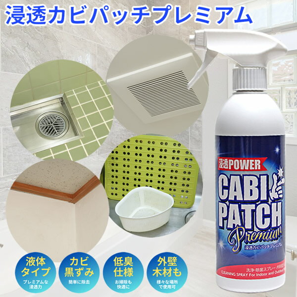 カビとり剤 かびとりいっぱつリキッド 4kg 業務用 低粘度タイプ 【送料無料】