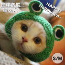 ハロウィン ペット帽子 猫用 犬用 万聖節 犬猫用コスプレ コスプレ 変身 蛙 いぬ ハロウィン用 アクセサリー 可愛い ヘアアクセサリー コスチューム 変身 ドッグ帽子 面白い グリーン パーティー お散歩 お出かけ 小型犬 ペット用品 変身服 出掛け 写真 撮影道具