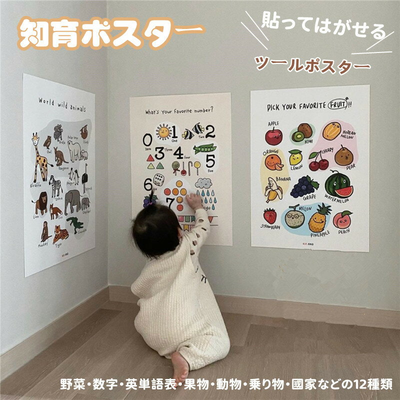 ポスター 知育 シール 幼児 知育ポスター 野菜 果物 動物 数字 乗り物勉強 学習ポスター 幼児教育 防水加工 ウォールステッカー 貼る お風呂ポスター おしゃれ ABC表 お部屋にも お風呂で覚えよう 幼稚園 入園祝い プレゼント インテリア