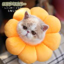 エリザベスカラー ペット用品 傷舐め防止 軽量 術後 傷口保護 介護 避妊 術後ウェア 皮膚病 手術後のケアに ひまわり型 通気性 安心感 軽量 かわいい ソフト ペット用品 猫用 兔用 小型犬用 イエロー 虹柄 S M L XL cw030h