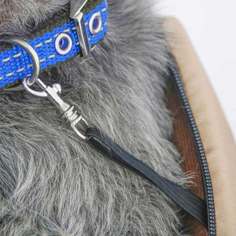 �ڥåȥ���꡼�Хå� �ڥå����� ����꡼�Хå� ���ݤ� �������� �ڥå��� ����꡼������ �ϥ��� ���� ������ ǭ�� ���Ф��� �̱� �̵���ȴ�� ������ ι�� ���̵���