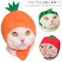 送料無料 ペットウェア 帽子 猫用 コスプレ 犬用 ドッグウェア ペットコスチューム 仮装 ユニーク 衣装 オレンジ スイカ リンゴ 果物 1