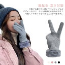 手袋 レディース グローブ スマホ 裏起毛 寒さ対策 冷え 冬用 防風 アウトドア もこもこ ボア 保温 厚手 スマホ対応 五本指 シンプル 暖かい おしゃれ ...