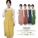 エプロン おしゃれ カフェエプロン かわいい レディース 保育士 肩掛け フリーサイズ ポケット付き バッククロス すっきり 大人 かわいい きれいめ 無地 シ...