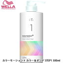 ウエラ カラーモーション＋ カラー＆ボンド STEP1 500ml トリートメント カラーケア カラー 定着 システムトリートメント サロン専売品 サロン 美容院 美容室専売 お取り寄せ