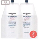 ルベル ナチュラル ヘア トリートメント ウィズ RP ライスプロテイン 1600ml ×2個 セット 髪 さらさら サラサラ ツヤ ハチミツ コメ胚芽油 美容室専売 サロン専売品 詰め替え 詰替え用 取寄せ