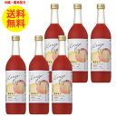 6本 シーボン 酵素美人 赤 720ml ピンクグレープフルーツ味 酵素飲料 健康飲料 沖縄・離島以外 送料無料 5倍濃縮