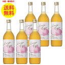 6本 シーボン 酵素美人 桃 720ml 酵素ドリンク 酵素飲料 酵素 ドリンク 健康ドリンク お酢 美容ドリンク 飲むお酢 健康飲料 乳酸菌 発酵 白桃味 白桃 酵素飲料 健康飲料 沖縄・離島以外 送料無料 5倍濃縮