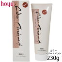 【21時〜11日26時迄PT3倍】ホーユー アシュレー カラートリートメント ブラウン 230g ヘアマニキュア 髪染め サロン専売品 ヘアカラー サロン専売品 美容室専売 取寄せ
