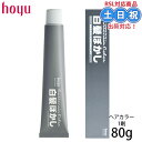 ホーユー カレンシアカラー ナチュラルグレー 80g ヘアカラー カラー剤 ヘアカラー1剤 白髪 白髪ぼかし 白髪染め 白髪隠し 白髪かくし サロン専売品 美容室専売 美容室 美容院