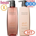 【2日10時~11日26時までPT2倍】ホーユー プロマスター カラーケア リッチ シャンプー トリートメント 600mL/600g セット ヒアルロン酸 髪 パサつき 保湿 シャンプー サロン専売品 母の日 父の日 ギフト プレゼント