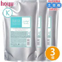 ホーユー プロマスター カラーケア カーミー シャンプー 1000mL×3個 セット 詰め替え くせ毛 カラー ケア カラーケアシャンプー 詰め替え 詰替 サロン うねり レフィル サロン専売品 美容室専売 レフィル