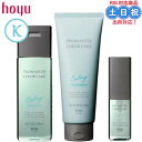 【2日10時~11日26時までPT2倍】ホーユー プロマスター カラーケア カーミー シャンプー 250ml トリートメント 200g アウトバストリートメント シャイン 80ml うねり くせ毛 オイル 髪 サロン専売品 美容室専売 商品