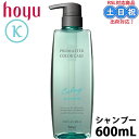 ホーユー プロマスター カラーケア カーミー シャンプー 600ml くせ毛 癖毛 うねり ヘアシャンプー リジン 髪 ダメージ ダメージケア ヘアケア サロン専売品 美容室専売 美容室 美容院 ヘアケア商品