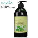 ナプラ ケアテクトHB カラーシャンプーS タイプ 750ml シャンプー 美容室専売 頭皮ケア カラーケア ノンシリコン 美容室専売 サロン専売品 取寄せ