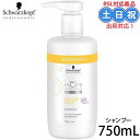 【〜16日26時迄PT2倍】シュワルツコフ BCクア カラーセーブ シャンプー 750ml サロンシャンプー カラーケア ツヤ シャンプー 色持ち サロン専売 サロン専売品 美容室専売品 在庫限り 在庫処分