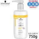 シュワルツコフ BCクア カラーセーブ トリートメント 750g カラーケア ツヤ ボトル サロントリートメント ダメージ 色持ち サロン専売 サロン専売品 美容室専売品 在庫限り 在庫処分