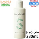 資生堂 ヘアキッチン シャンプー リフレッシングシャンプー 230ml ノンシリコンシャンプー ノンシリコン ヘアシャンプー 頭皮 臭い ニオイ 脂性 すっきり 頭皮ケア 女性 サロン サロン専売 美容室 美容院 お試し 在庫限り