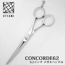 CVU[ CONCORDE62 6.2C` Klnh UTSUMI Ec~ iJYOj x[XJbg JbgVU[ e e wAJbg VU[