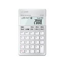 CASIO カシオ SP100NC 栄養サポートチーム向け専用電卓 SP-100NC 10桁