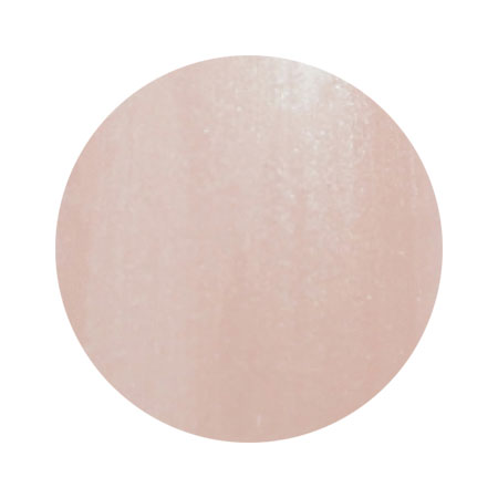 PREGEL プリジェル　ミューズ　トウシューズ　PGU−P343