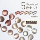 エメナ emena Magnety Flash gel 0541~0545 EMENA-MG5G