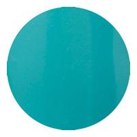 DP05　ロイヤルターコイズ　パラジェル　 para gel デザイナーズカラージェル 4g