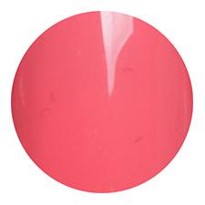 AM44　トマトディップ　2g　para gel アートカラージェル　