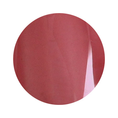 para gel パラジェル　カラージェル 　S048　フィグティント