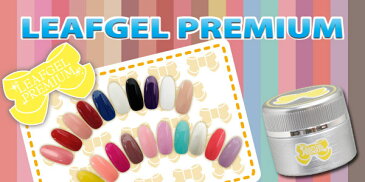 リーフジェル LEAFGEL PREMIUM カラージェル 111 シュクレ・フリュイ
