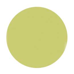 Jewelry jel ジュエリージェル　グランデ 4g JG028 ジョーヌ シトロン