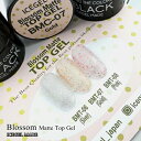 ICE GEL A BLACK ブロッサムマットトップジェル　3色セット