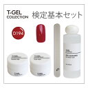 T-GEL COLLECTION ジェル検定基本セット