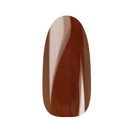 Ann Professional カラージェル 151 ブリックレッド Ann Professional カラージェル 151 ブリックレッド