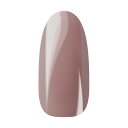 Ann Professional アンプロフェッショナル カラージェル 061 スモークサーモンピンク