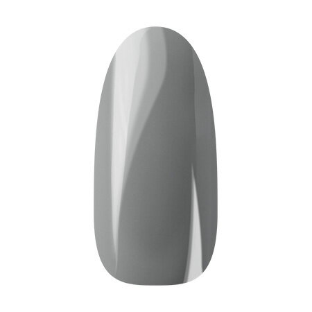 Ann Professional アンプロフェッショナル カラージェル 065 スモークライトグレー Ann Professional アンプロフェッショナル カラージェル 065 スモークライトグレー