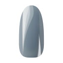 Ann Professional アンプロフェッショナル カラージェル 058 スモークシアーブルー