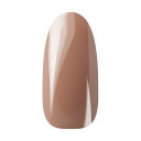 Ann Professional アンプロフェッショナル カラージェル 016 ソフトベージュ