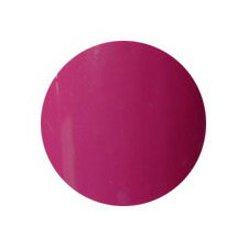 Putiel プティール　カラージェル　2g　113 ベリーピンク