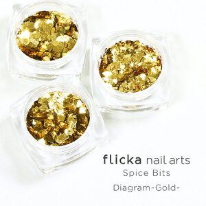 flicka nail arts Spice Bits Diagram−Gold−　フリッカネイルアーツ