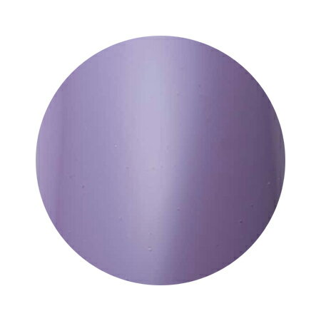 Dna Gel ディーナジェル　 カラージェル MPP08　ココリ