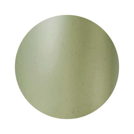 Dna Gel ディーナジェル　 カラージェル C06　オリーブのサムネイル