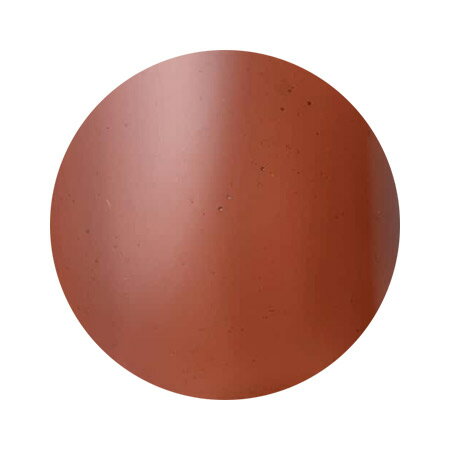 Dna Gel ディーナジェル カラージェル C09 タン