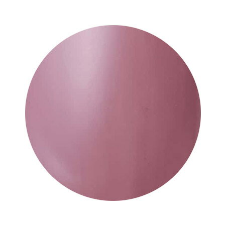 Dna Gel ディーナジェル カラージェル N06 ルノワール