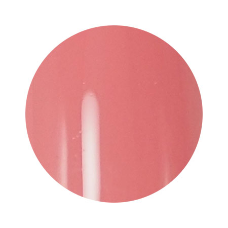 Dna Gel ディーナジェル　 カラージェル MPK13　サロメ