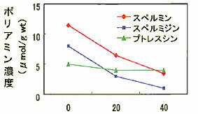 ネイリストサプリ ネイル栄養　健康なネイルに