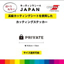 PRIVATE マーク カッティングシート 横型 ドアサイン ドア 扉 ガラス 標識 施設 店舗 飲食店 職場 オフィス 壁 シール デカール シンプル 高品質...