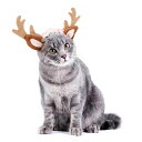 【クリスマス限定】クリスマス コスチューム ペット 仮装 犬 コスプレ 猫 ネコ 犬服 可愛い ドッグ服 ドッグウエア 猫服 変身 耳付き プレゼント 変身 小型犬 おもしろ インスタ映え SNS 着ぐるみ 洋服 撮影 おもしろウエア 中型犬 ペット服
