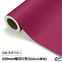 カッティングシート 切り売り 120 ラズベリー 450mm幅 50cm単位 中川ケミカル 赤 レッド ピンク シート 粘着シート 装飾 マーキングフィルム カッティングシール シール DIY カット販売 うちわ コンサート ステッカー リメイク レギュラーシリーズ